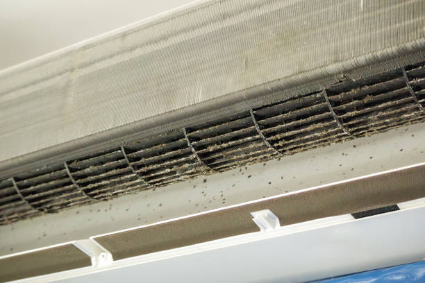 HVAC System Cleaning in Cutler Bay, FL